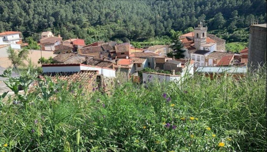 Гостевой дом Casa De Amparo Y Jose Manuel Pavies Экстерьер фото